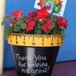 Chalkboard-Potted-Plant