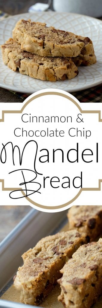 Cinnamon & Chocolate Chip Passover Mandel Bread – the perfect Passover dessert – so good you will want to eat it all year round!