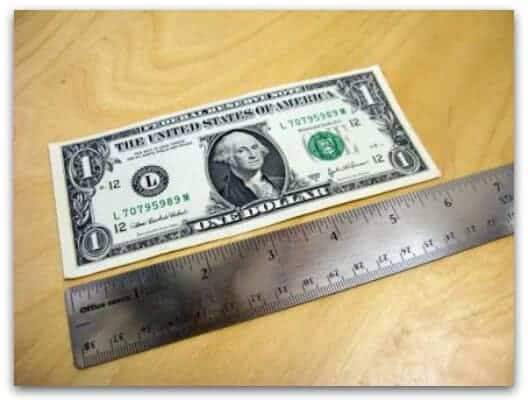 6-inch_dollar_bill