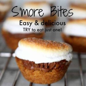 s'mores bites - chocolate, graham cracker and marshmallow. A s'mores recipe you can enjoy all year round