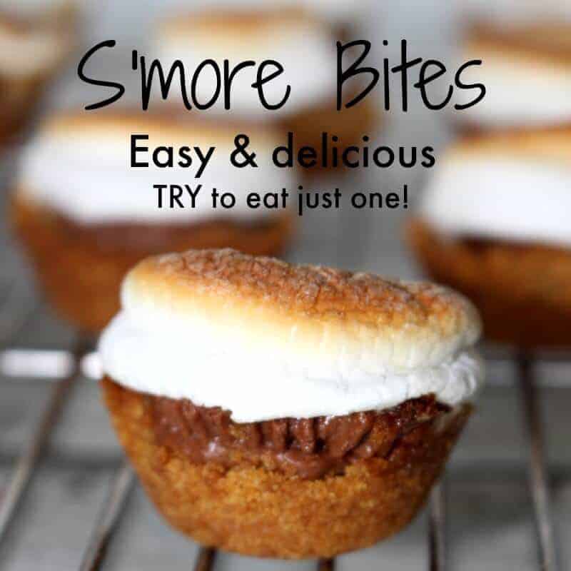 smore bites square pic