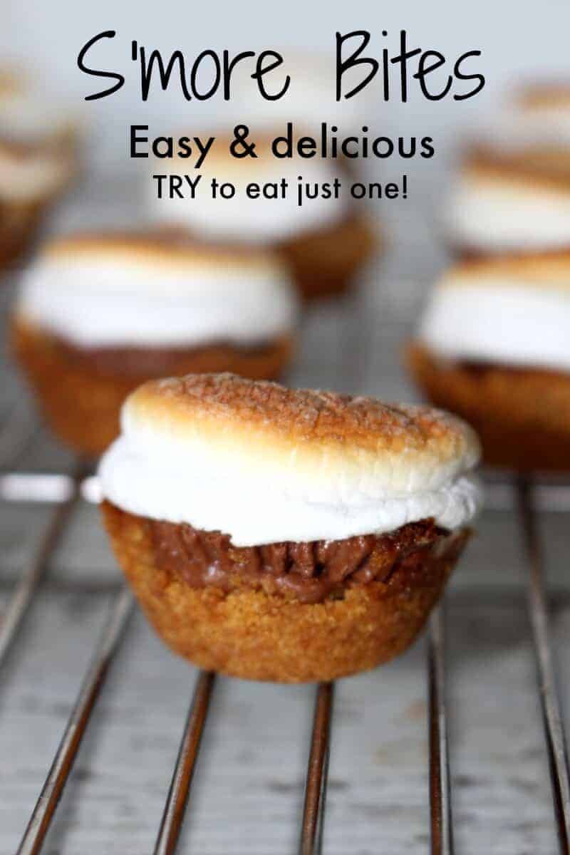 smore bites - try to eat just one