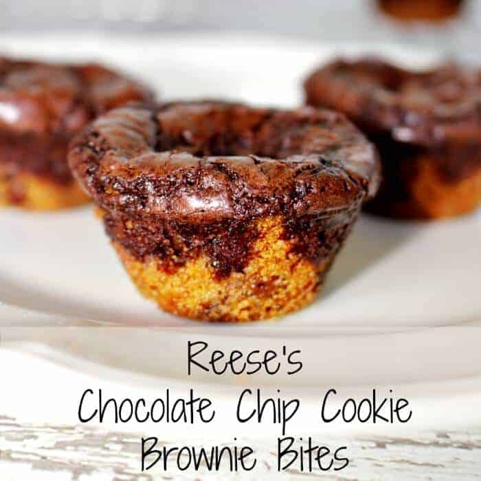 brownie bites sqare