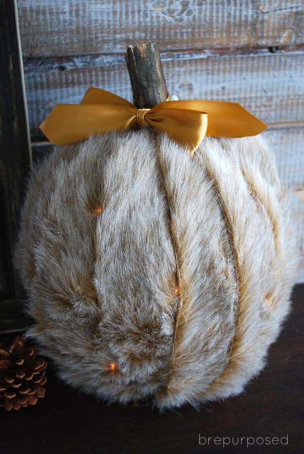 Fur Pumpkin by B Repurposed