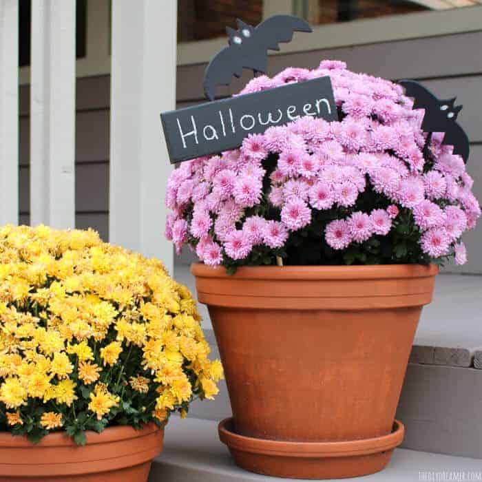 Halloween Planter by the DiY Dreamer