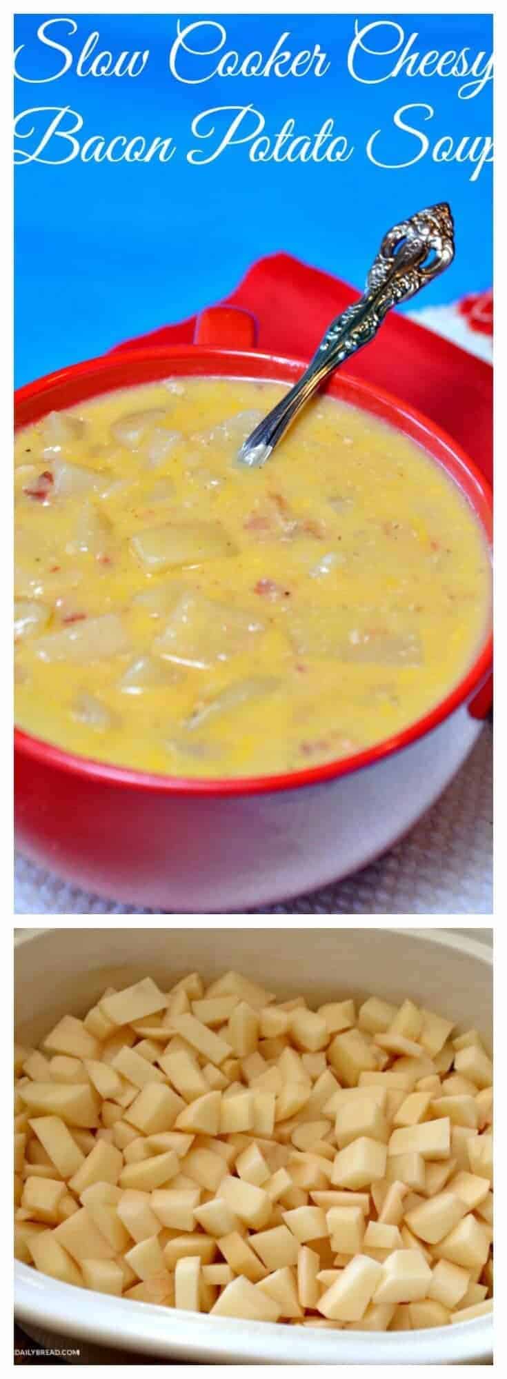 A bowl of food on a plate, with Slow cooker