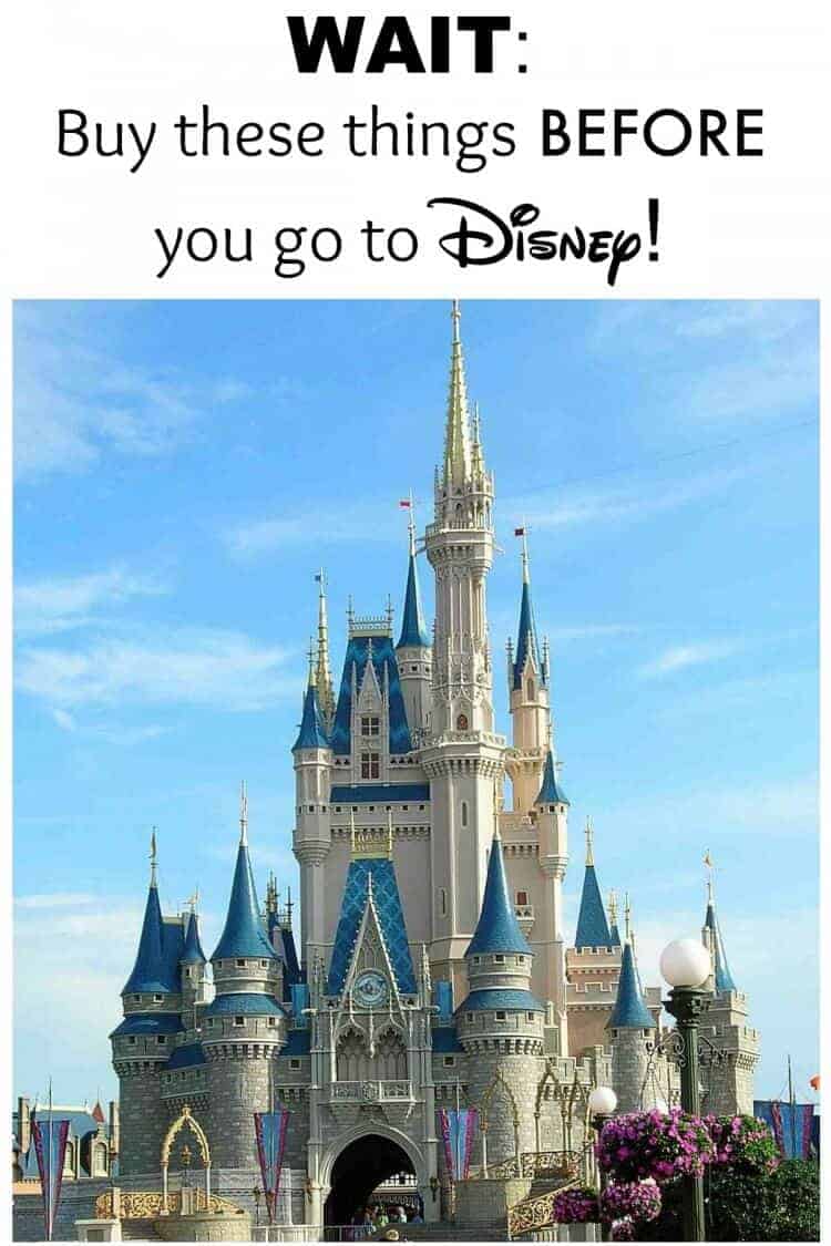 The Disney castle