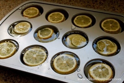 make_lemon_ice_cubes