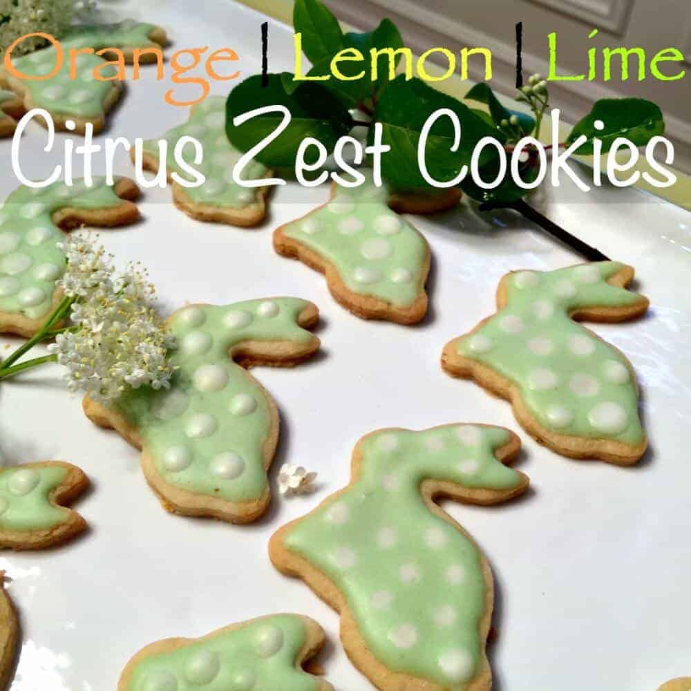 Orange, Lemon, Lime Citrus Zest Cookies - Princess Pinky Girl