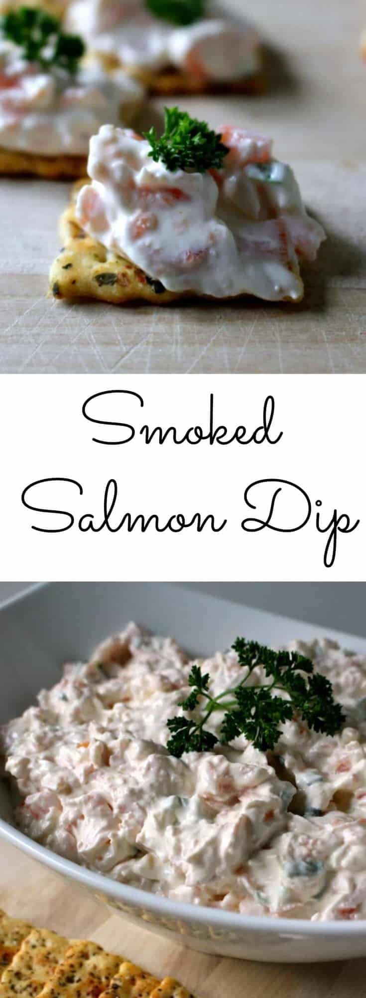 Smoked Salmon Dip - an easy appetizer
