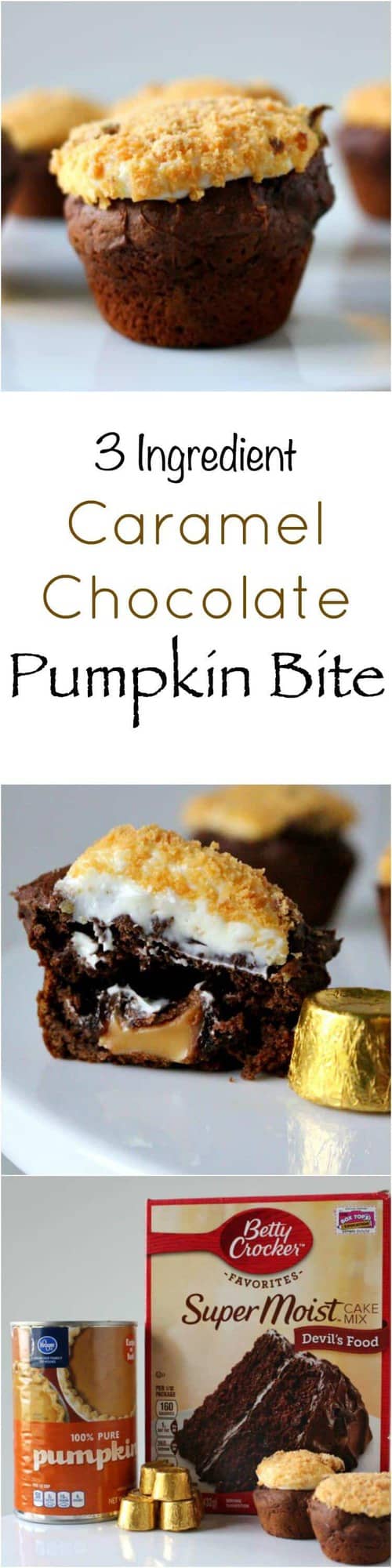 3 ingredient Caramel Chocolate Pumpkin Bite