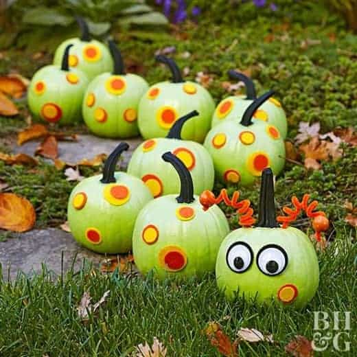 Caterpillar No Carve Pumpkin from Better Homes and Gardens and other great no carve pumpkins