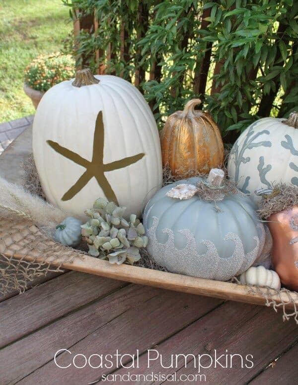 Coastal Pumpkins by Sand and Sisal 