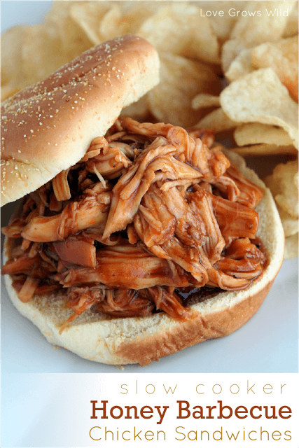 Slow Cooker Honey Barbecue Chicken Sandwiches via Uncommon Designs 