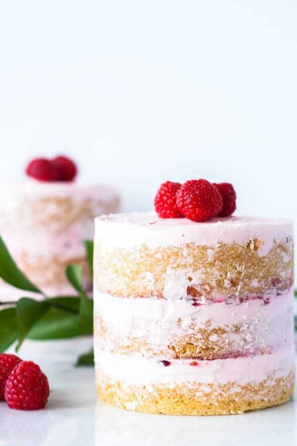 Pink Raspberry Vanilla Mini Cakes