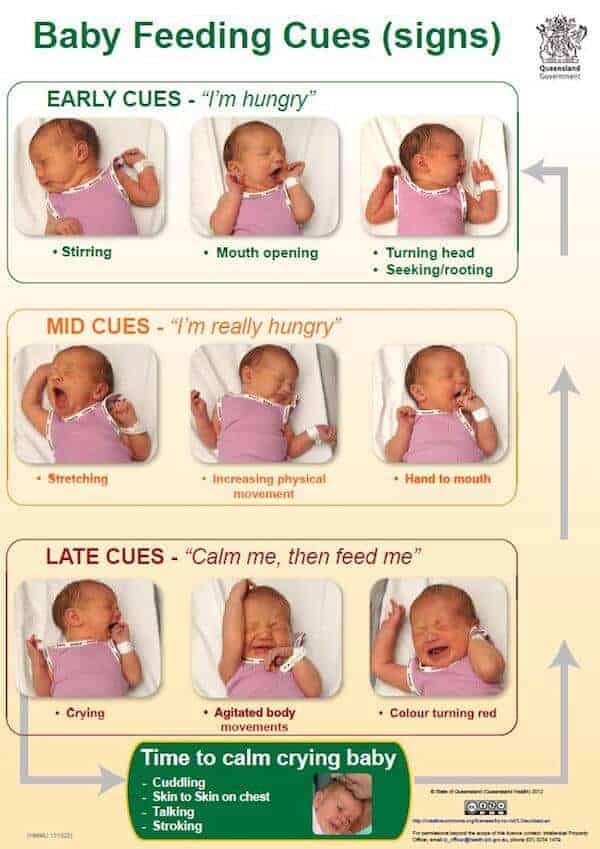 Baby feeding cues and how to know when your baby is hungry from KEMH Health