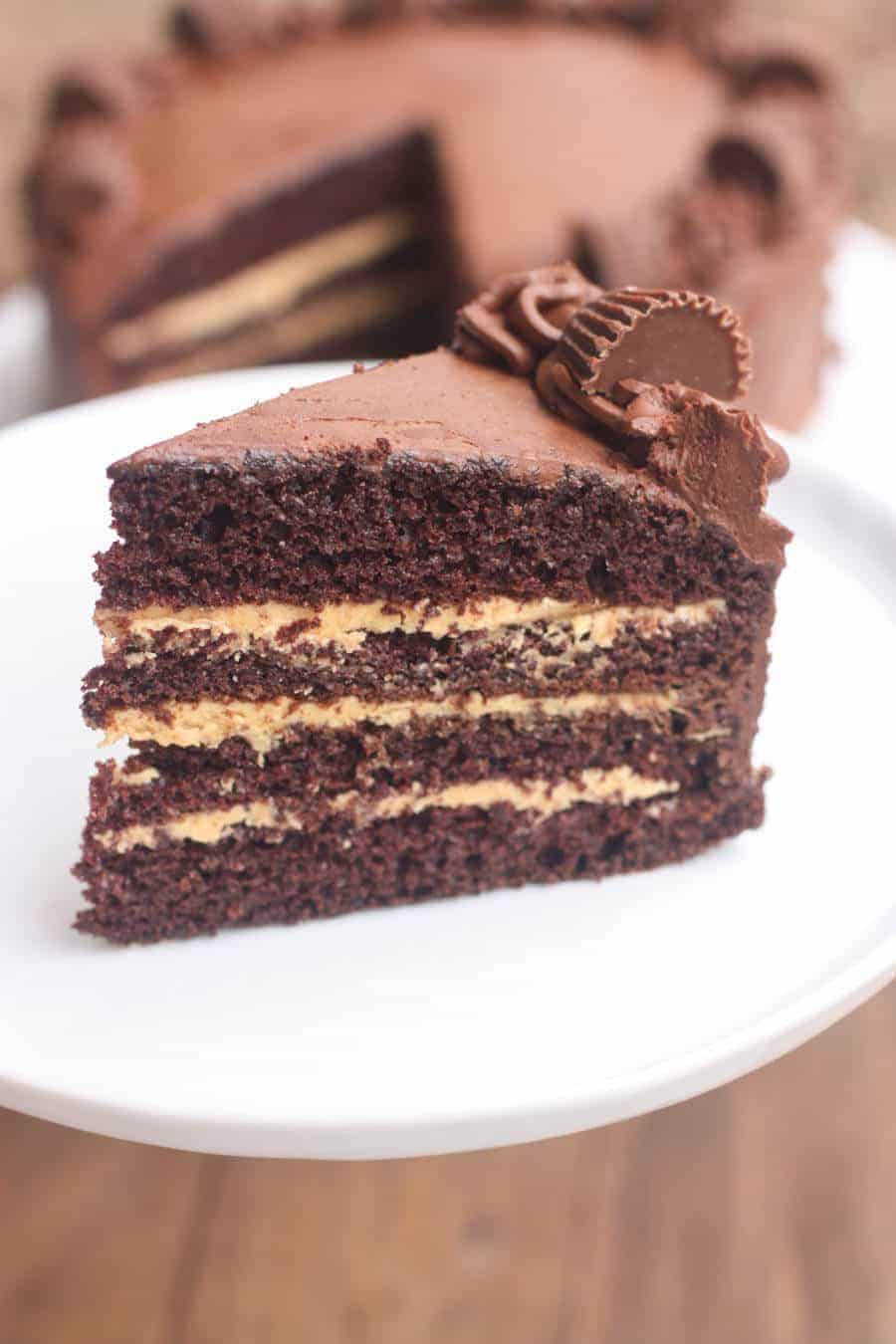 Chocolate_Peanut_Butter_Cake-3