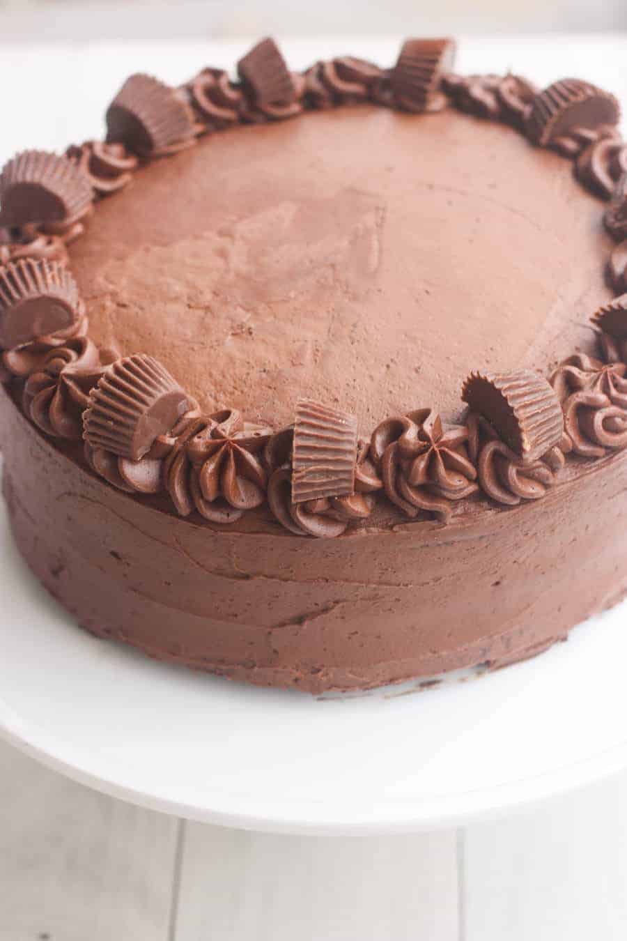 Chocolate_Peanut_Butter_Cake