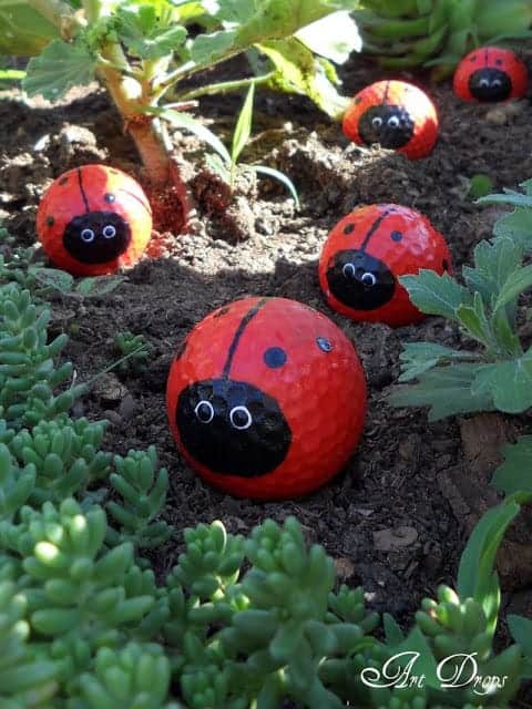 Painted Golf Ball Ladybugs by Artdrops 