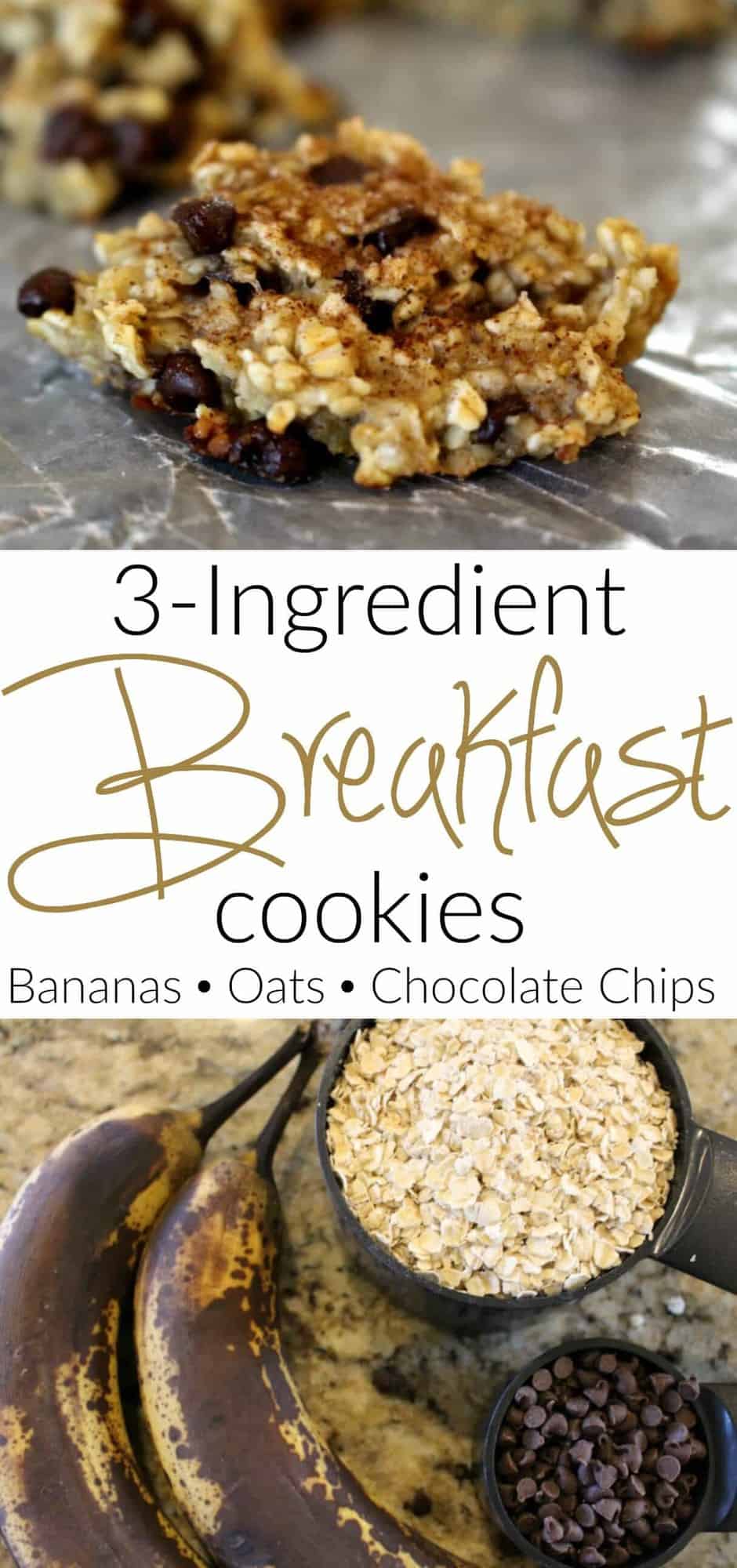 3 ingredient breakfast cookies - bananas, oats and chocolate chips