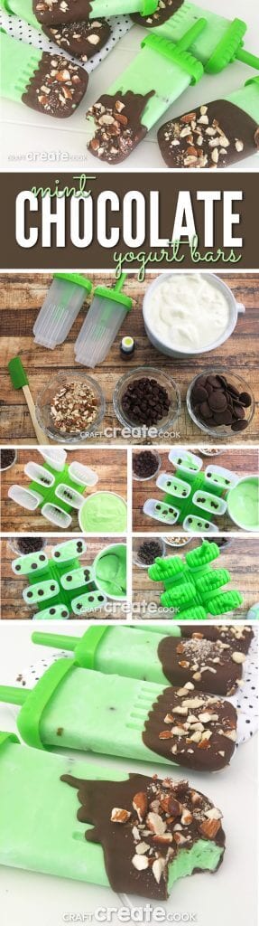 MintChocolateYogurtPinLONG