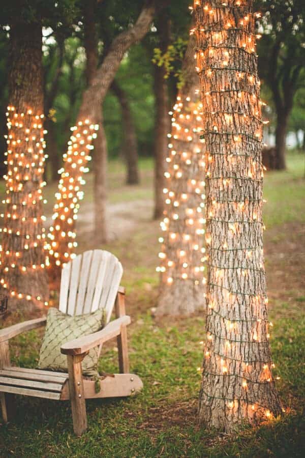 Tree Lights | Ruffled Blog 