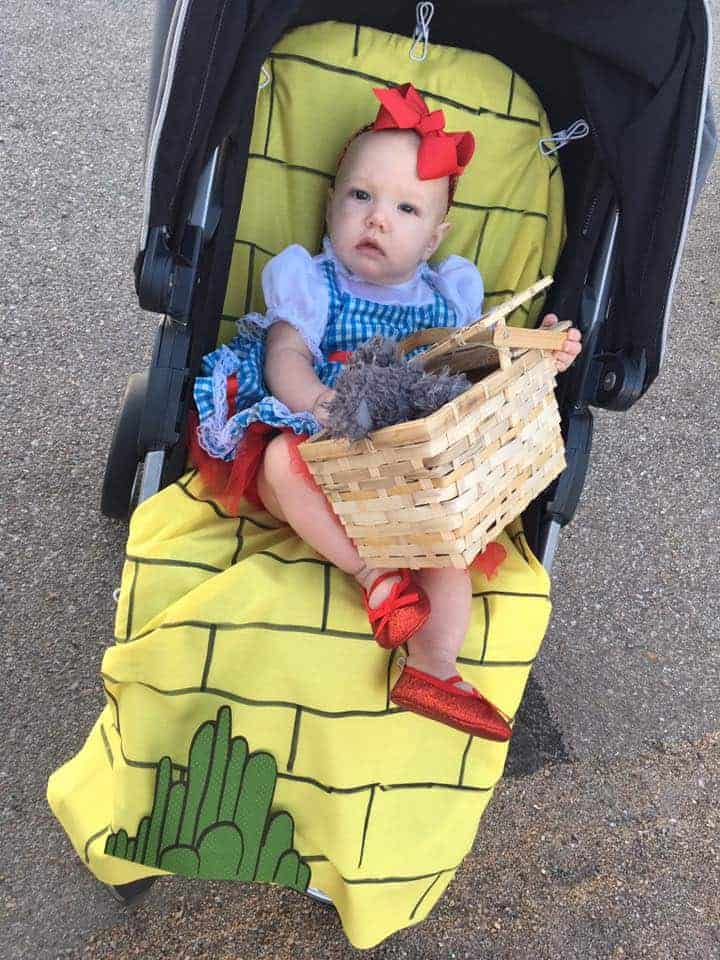 Dorothy from Wizard of Oz Stroller Costumer for Halloween