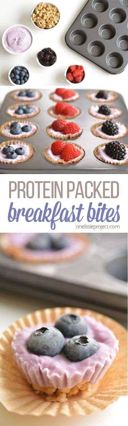 Protein Packed Breakfast Bites | One Little Project