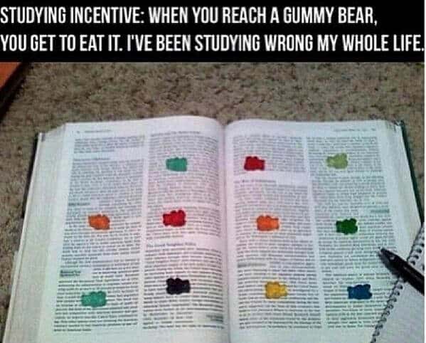 Use gummy bears as study incentive