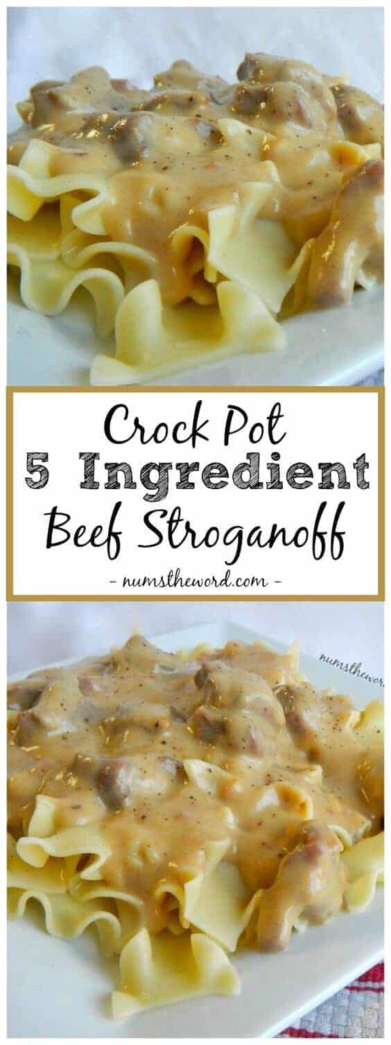 5 Ingredient Beef Stroganoff by Mums the Word 