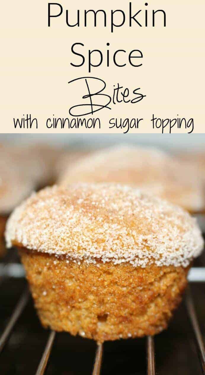 Pumpkin Spice Bites with Cinnamon Sugar Topping | Pumpkin Pie Recipes and Pumpkin Pie Flavored Recipes! 