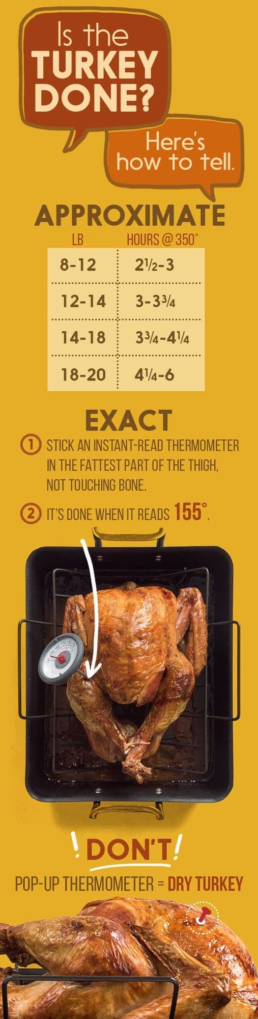 Is the Turkey Done by Buzzfeed