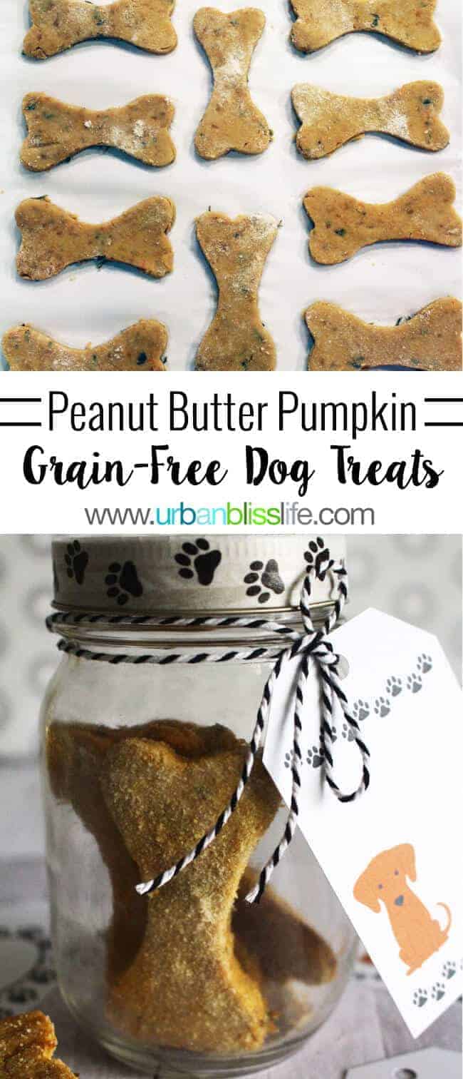 Grain Free Peanut Butter Pumpkin Dog Treats by Urban Bliss Life | Homemade Dog Treats and DIY Dog Ideas