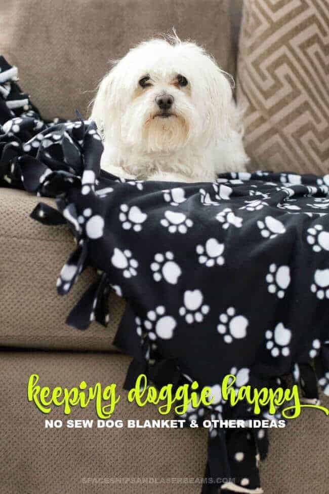 No Sew Dog Blanket by Spaceships and Laserbeams | Homemade Dog Treats and DIY Projects for Dogs