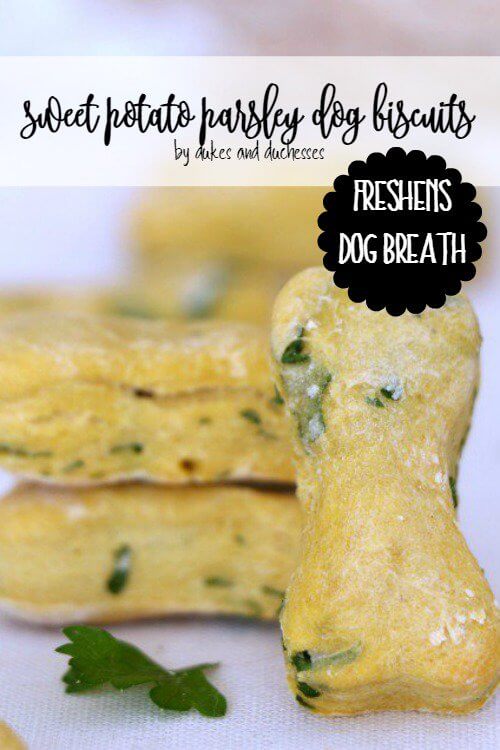 Sweet Potato and Parsley Dog Biscuits by Dukes and Duchesses | Homemade Dog Treat Recipes and DIY Dog Ideas