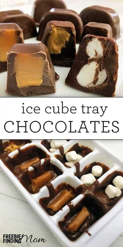 Quarantine Kitchen: 6 Ice Cube Tray Hacks – The Colgate Maroon-News