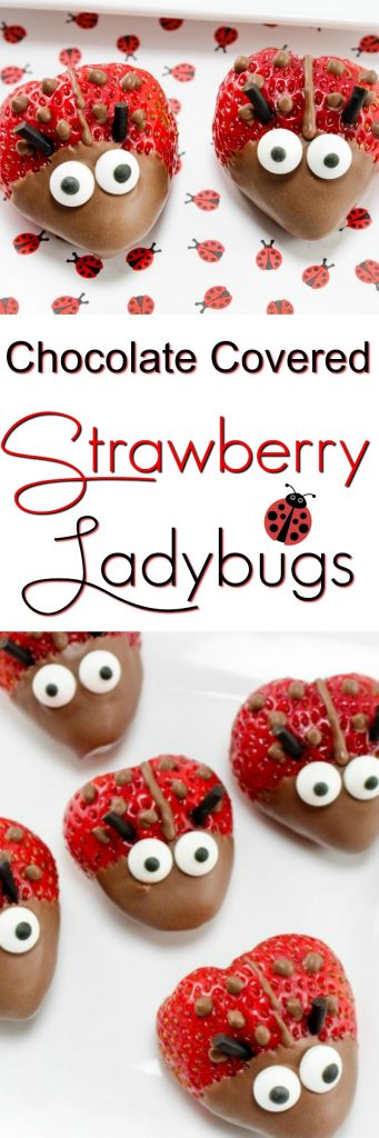 Strawberries made to look like ladybugs with candy ice and chocolate