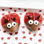 Chocolate Strawberry Ladybugs Featured Image