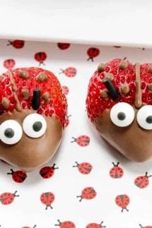 Chocolate Strawberry Ladybugs Featured Image