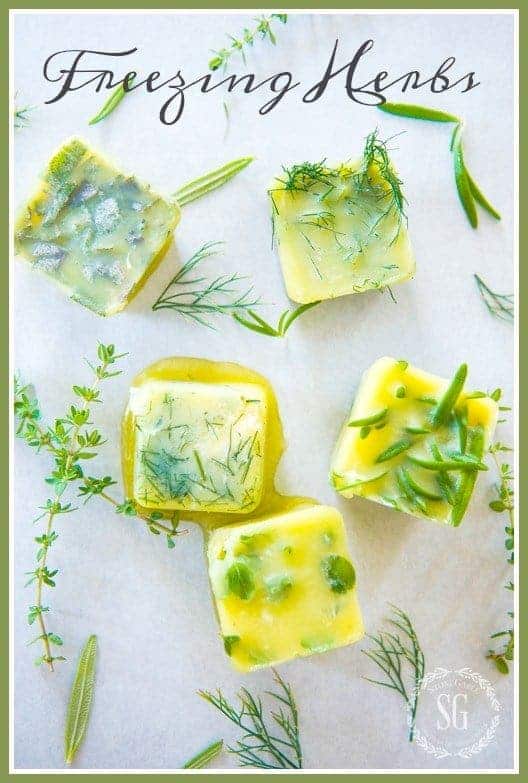 Freezing Summer Herbs in an Ice Cube Trays by Stone Gable Blog | The Coolest Ice Cube Tray Hacks Around. Those plastic trays can be used to make so much more than just ice!