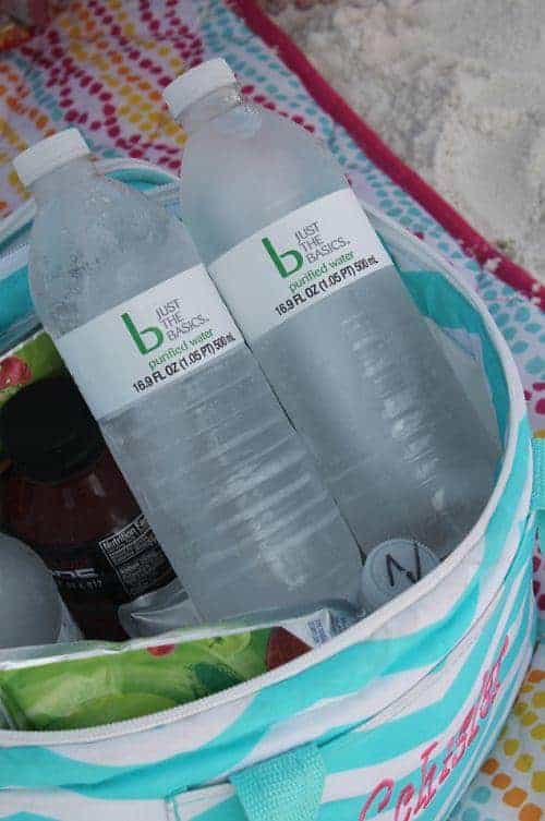 Frozen Water Bottles for Ice Chest by Passion for Savings