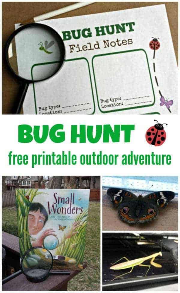 Outdoor Bug Hunt by KC Edventures | Get outdoors with the family and have some fun with these great ideas for outdoor activities for kids! 