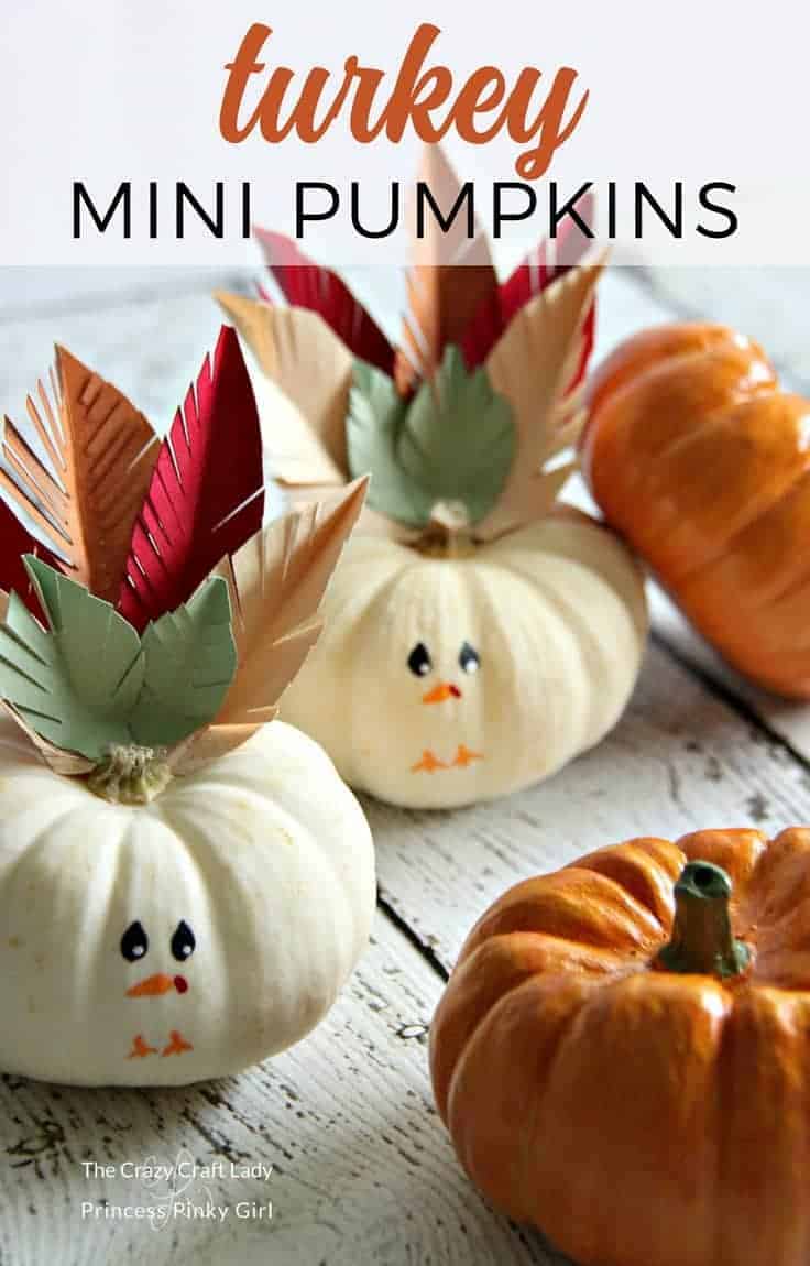 Make these Turkey mini pumpkins with the kids for a fun and easy Thanksgiving craft. Decorate mini pumpkins to look like turkeys – the perfect place holders for your Thanksgiving table!