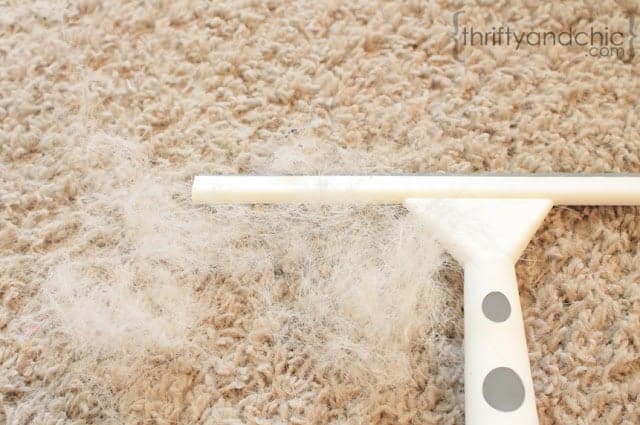 A close up of a brush Cleaning carpet