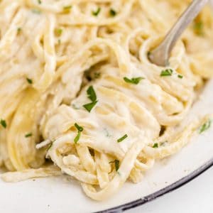 Copycat Olive Garden Alfredo Sauce square on fork