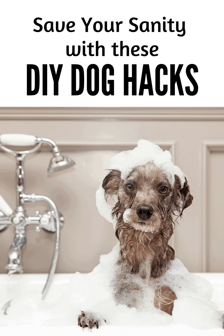 These dog hacks will save your sanity! 