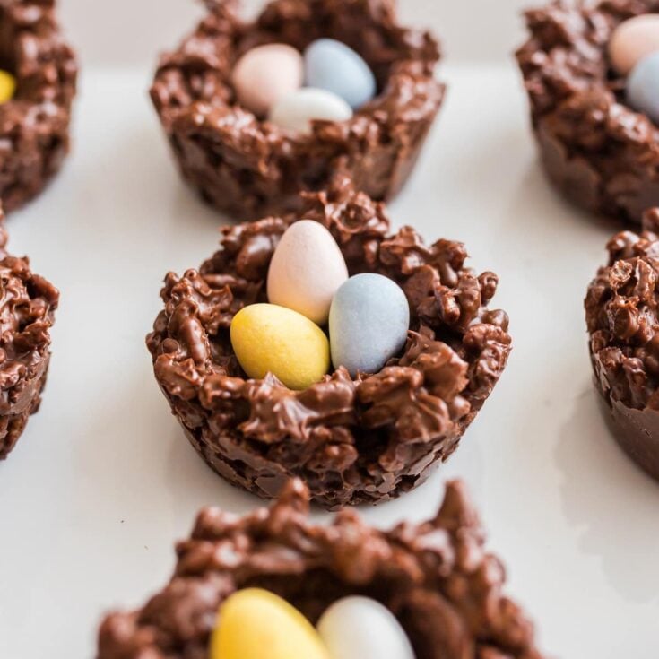 chocolate bird nest featured image