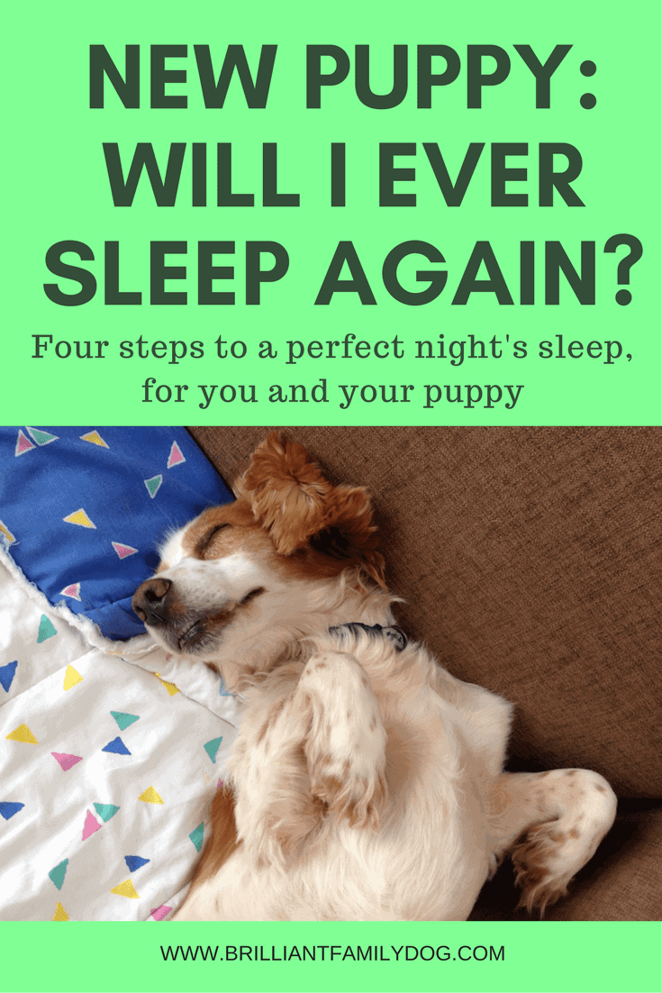 New Puppy Sleep Solutions by Brilliant Family Pet | Dog Hacks to save your sanity