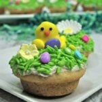Spring Easter Cookie Square featured image