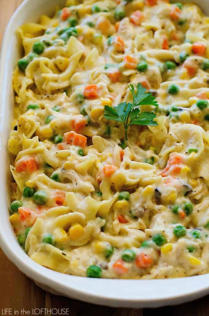 Chicken noodle casserole close-up image